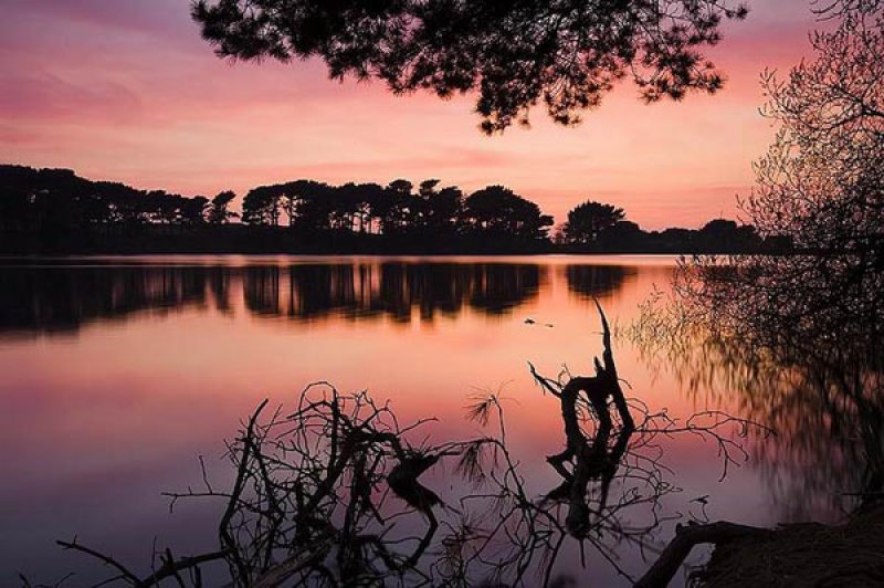 Yeşil Besni Sürücü Kursu