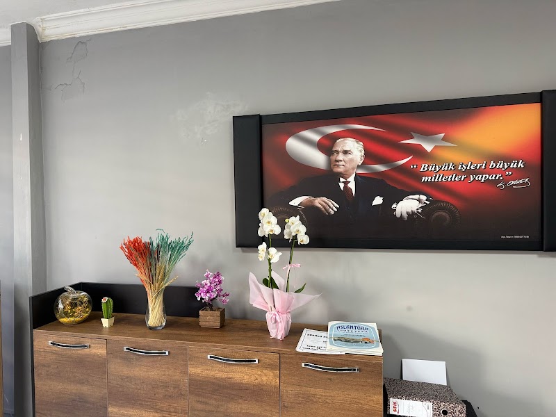 Aslantürk Sürücü Kursu