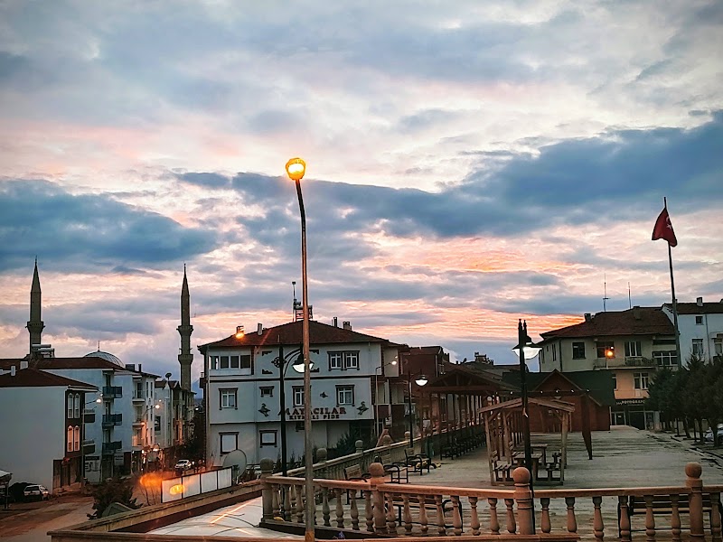 Kocalar Taşıt Sürücü Kursu