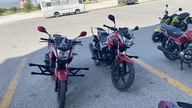 Zebra Taşıt Sürücü Kursu