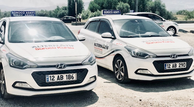 Alternatif Sürücü Kursu