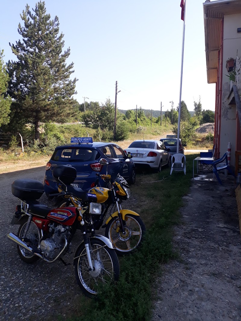 Yeşil Sürücü Kursu