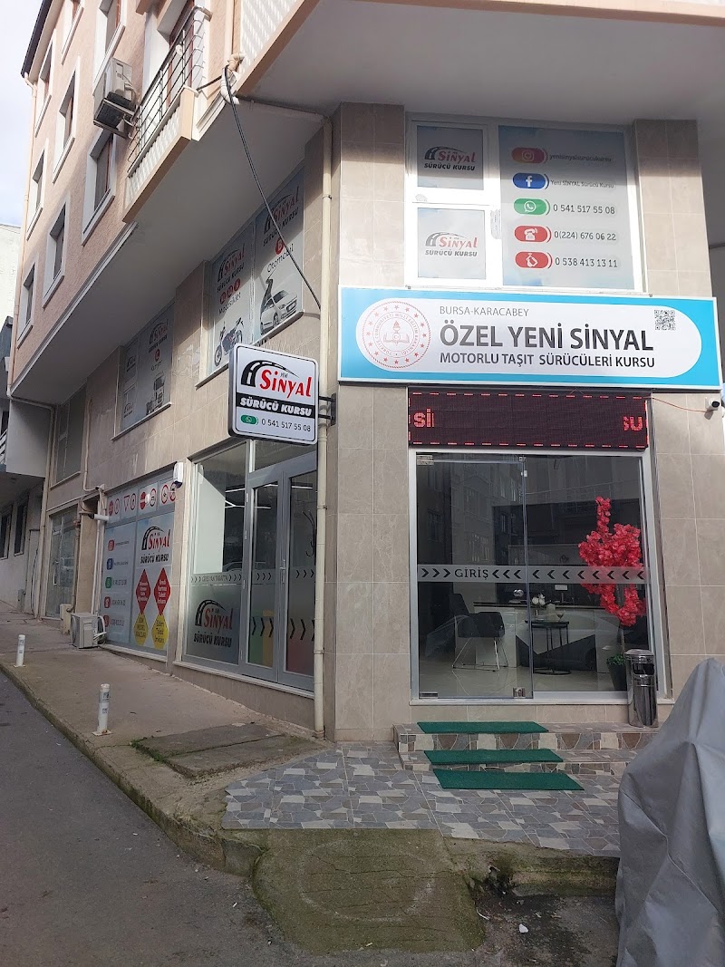 Yeni Sinyal Sürücü Kursu