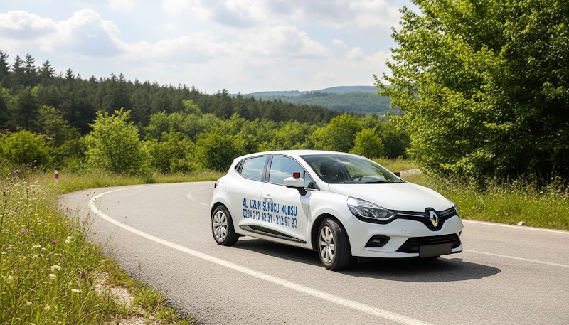 Ali Uzun Sürücü Kursu