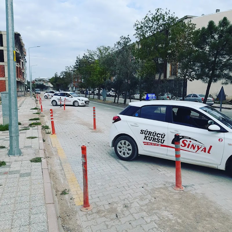 Yeni Sinyal Sürücü Kursu