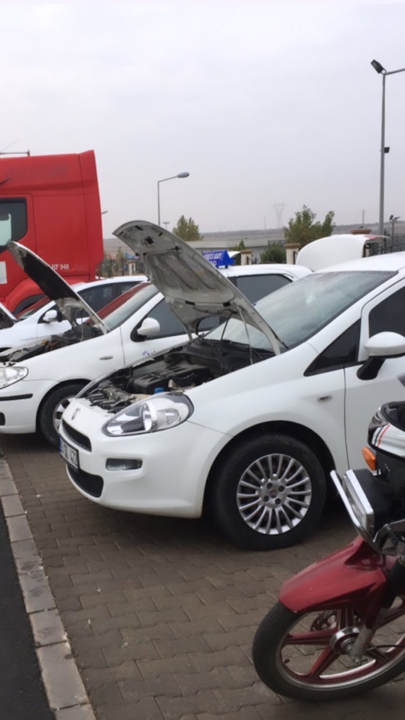 Hafızoğlu Sürücü Kursu