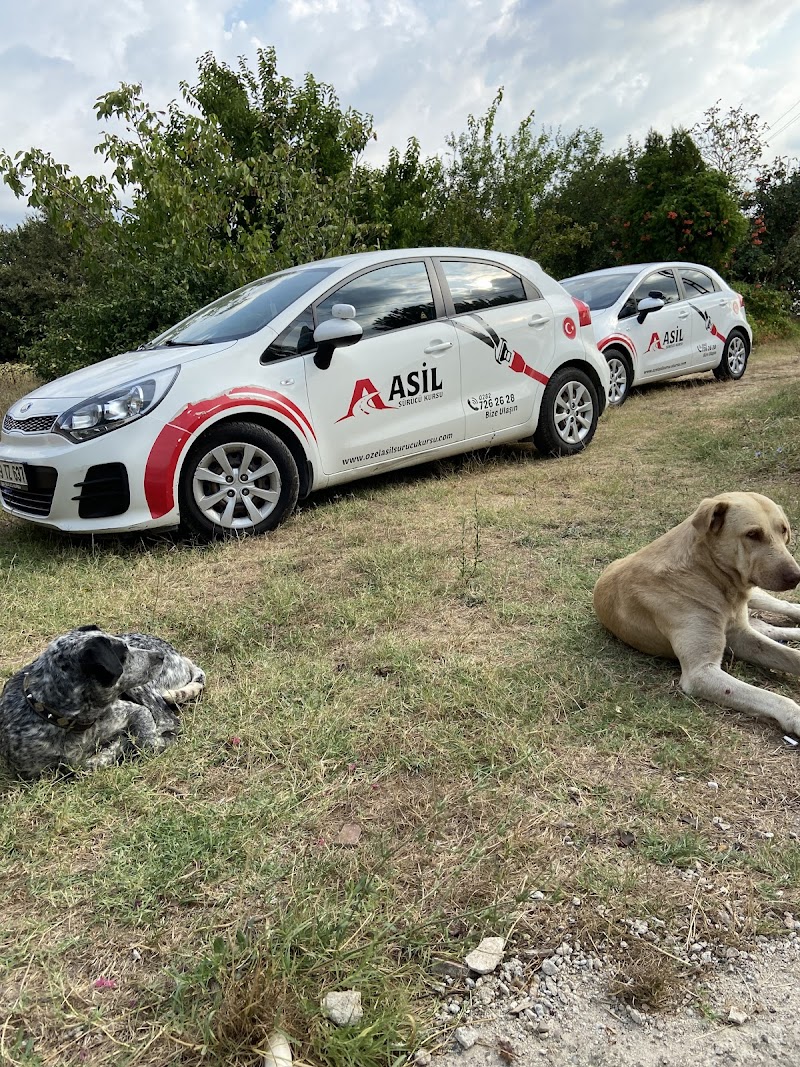 Asil Sürücü Kursu