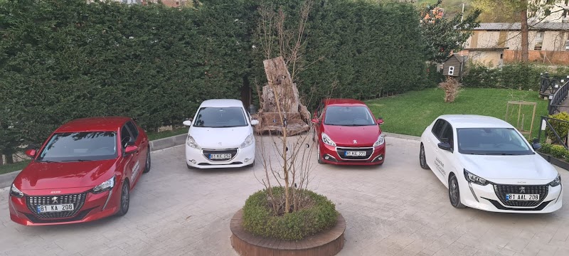 Albayrak Taşıt Sürücü Kursu