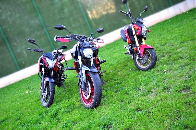 Adalar Sürücü Kursu