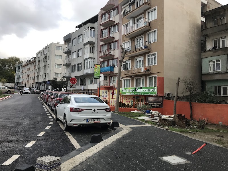 Marmara Kuşcenneti Sürücü Kursu