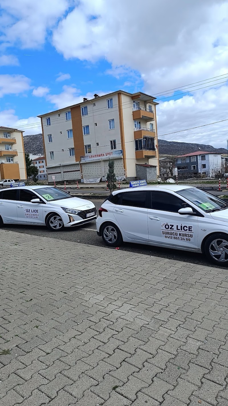 Öz Lice Sürücü Kursu