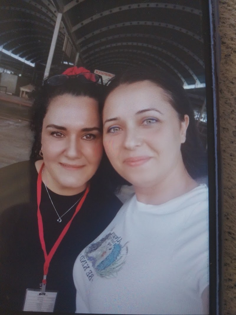 Zirve Sürücü Kursu