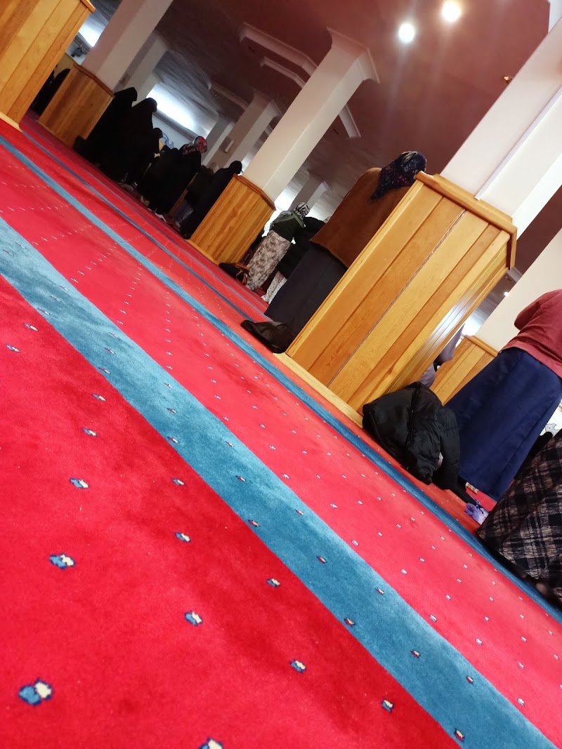 Bağcılar Sürücü Kursu