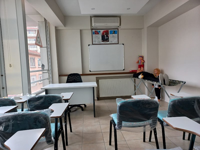 Vizyon Taşıt Sürücü Kursu