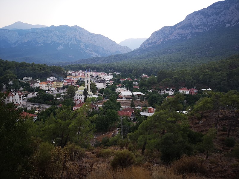 Kemer Sürücü Kursu