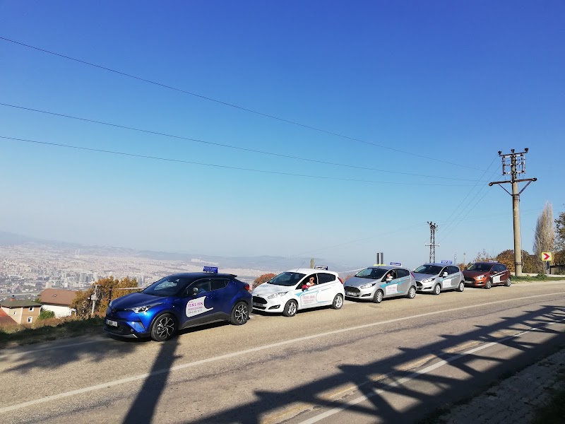 Özelyeşil Işık Taşıt Sürücü Kursu