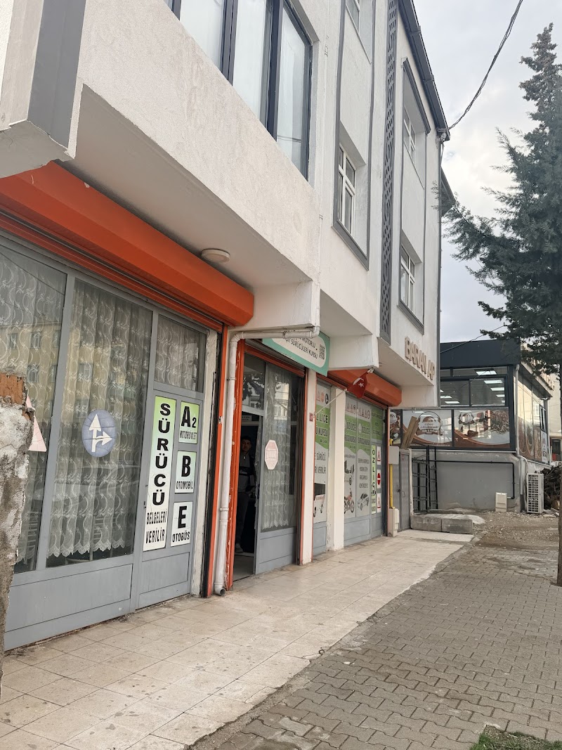 Öz Lice Sürücü Kursu