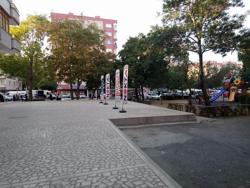 Nokta Sürücü Kursu