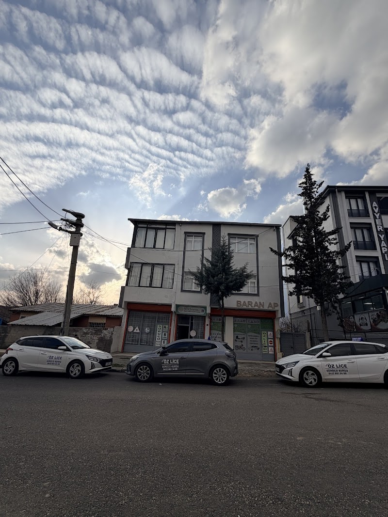 Öz Lice Sürücü Kursu