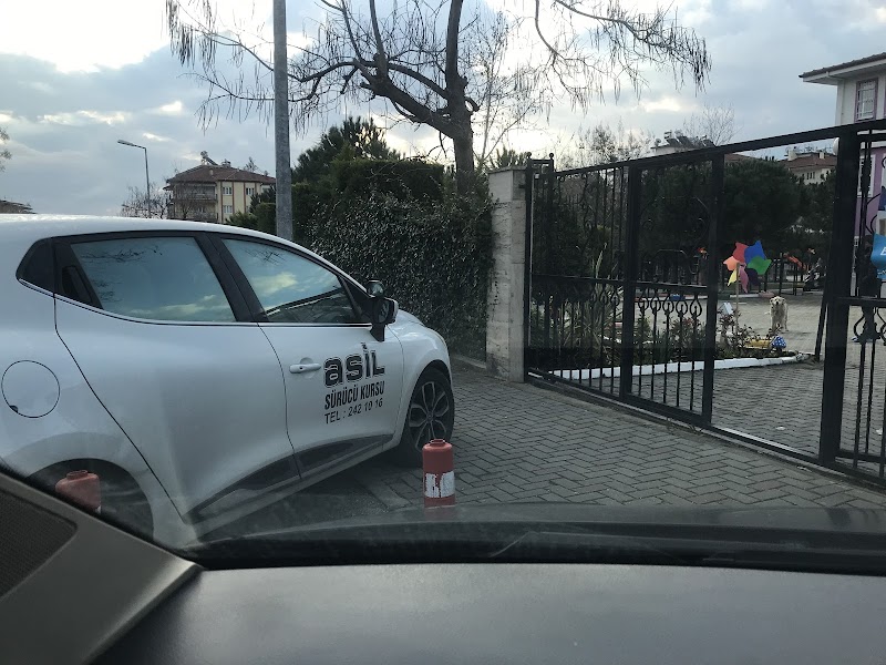 Asil Sürücü Kursu