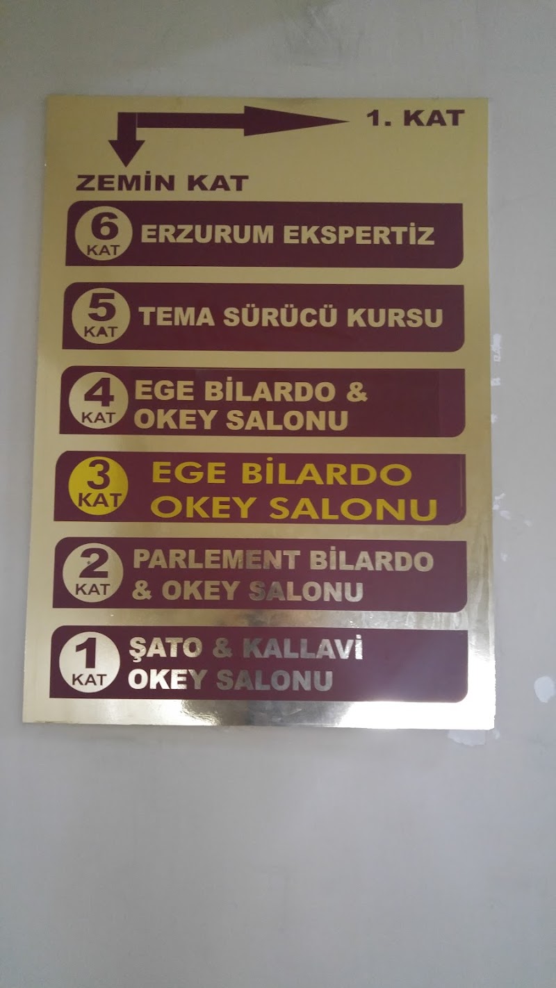 Tema Sürücü Kursu