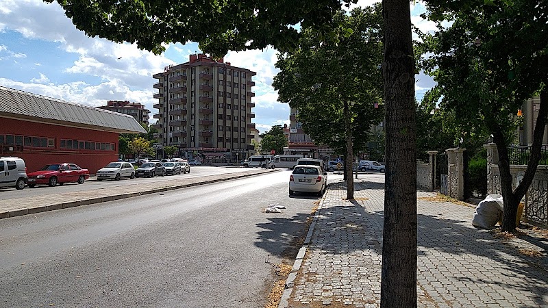 Mevlana Sürücü Kursu (Otogar Şubesi)