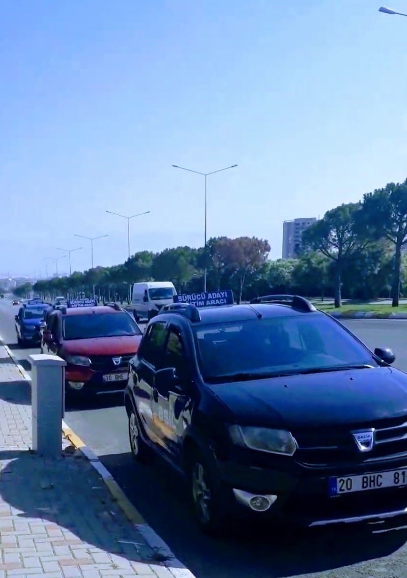 Asil Sürücü Kursu