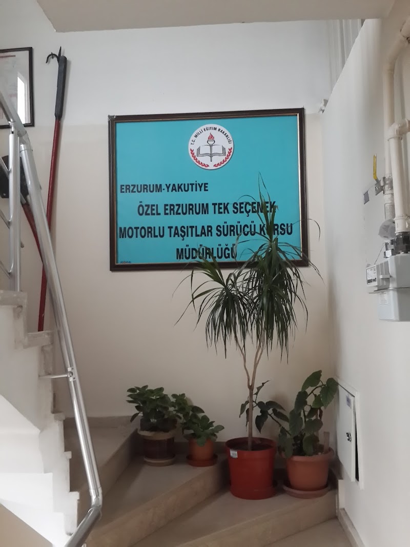 Tekseçenek Sürücü Kursu