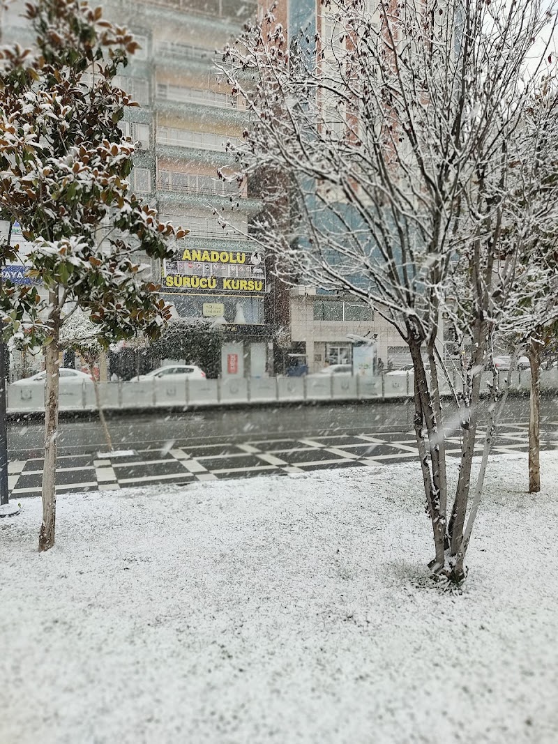 Anadolu Sürücü Kursu