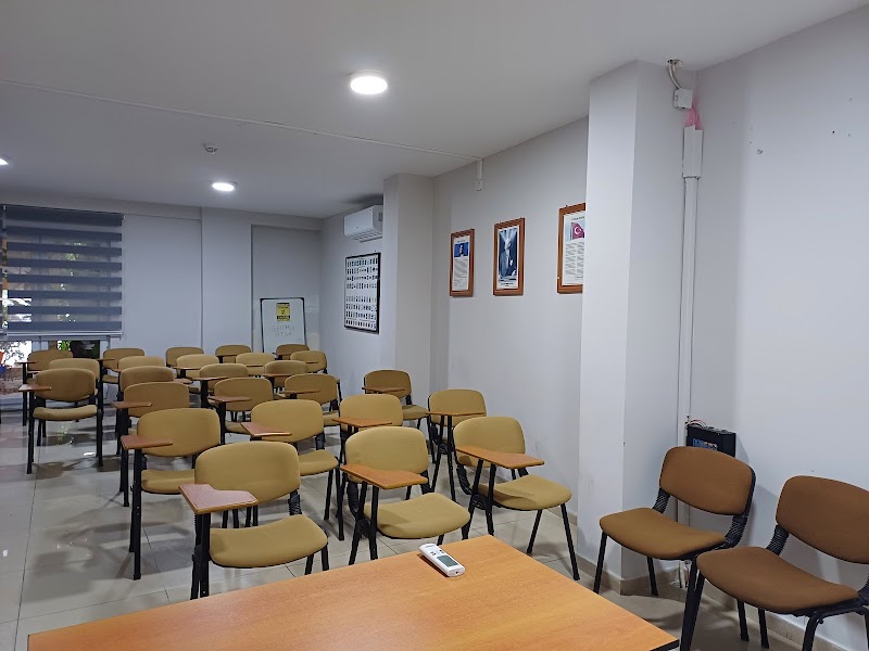 Sevimli Sürücü Kursu