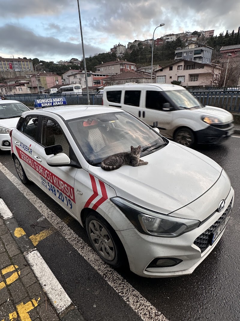 Şerifali Sürücü Kursu