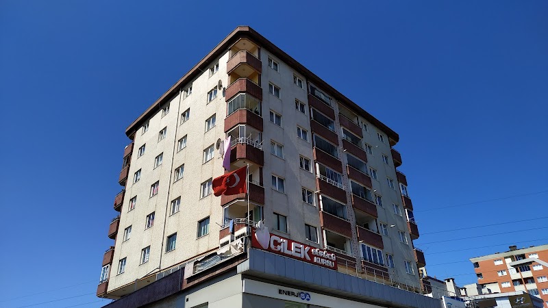 Çilek Sürücü Kursu