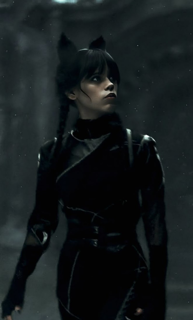 Şenova 2 Sürücü Kursu