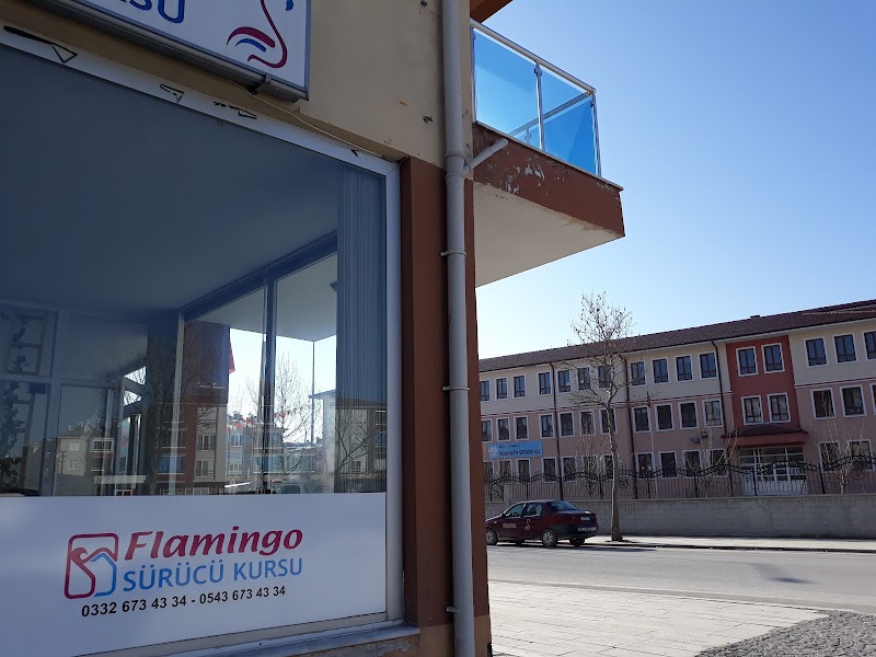 Flamingo Sürücü Kursu