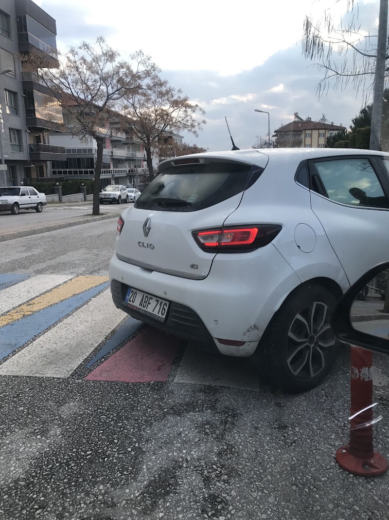 Asil Sürücü Kursu