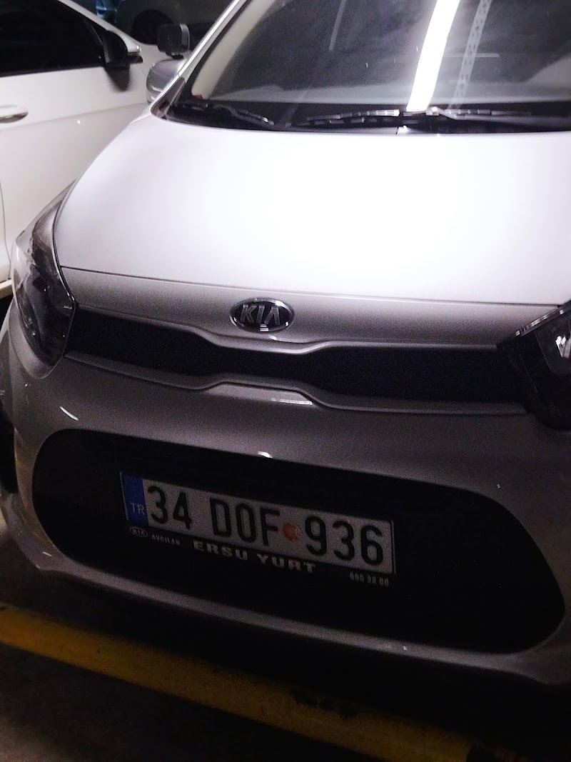 Paşa Taşıt Sürücü Kursu