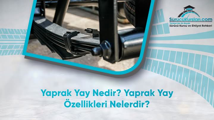 Yaprak Yay Nedir? Yaprak Yay Özellikleri Nelerdir
