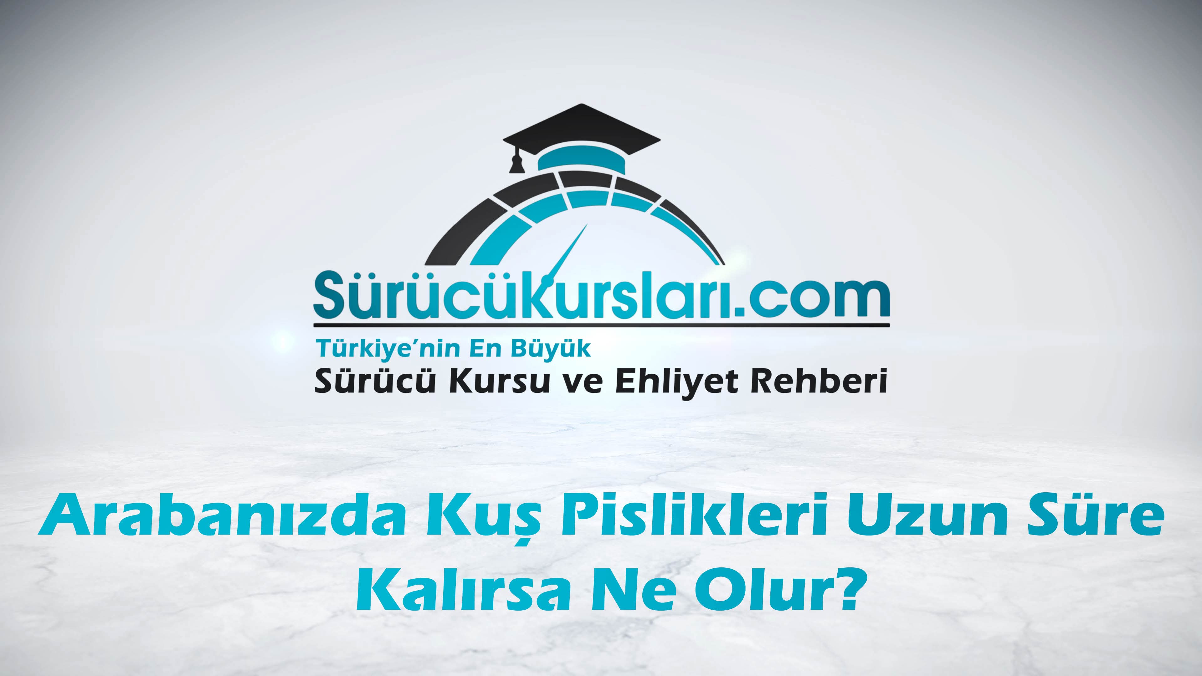 Arabanızda Kuş Pislikleri Uzun Süre Kalırsa Ne Olur